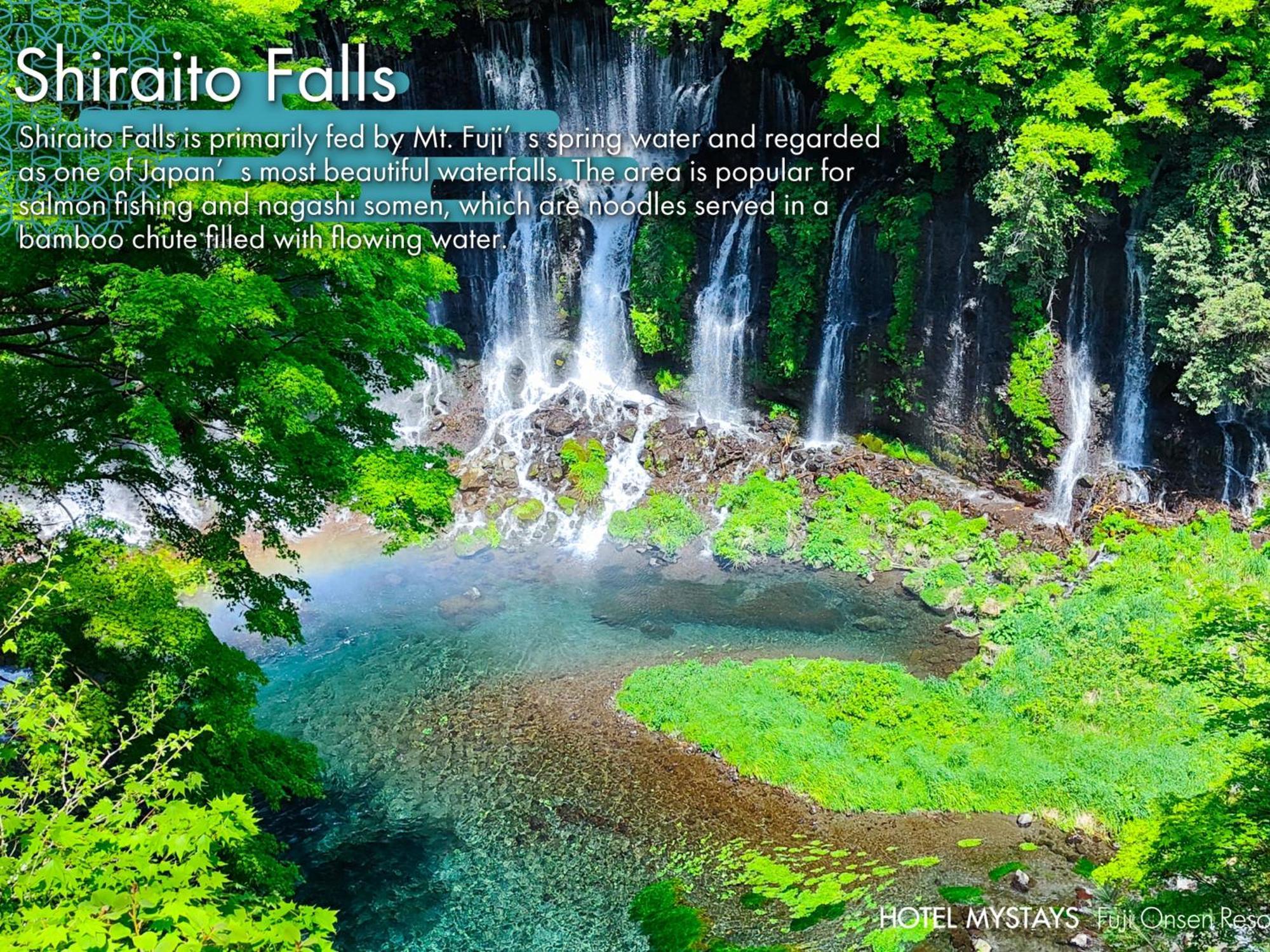 Mystays Fuji Onsen Hotel 3*