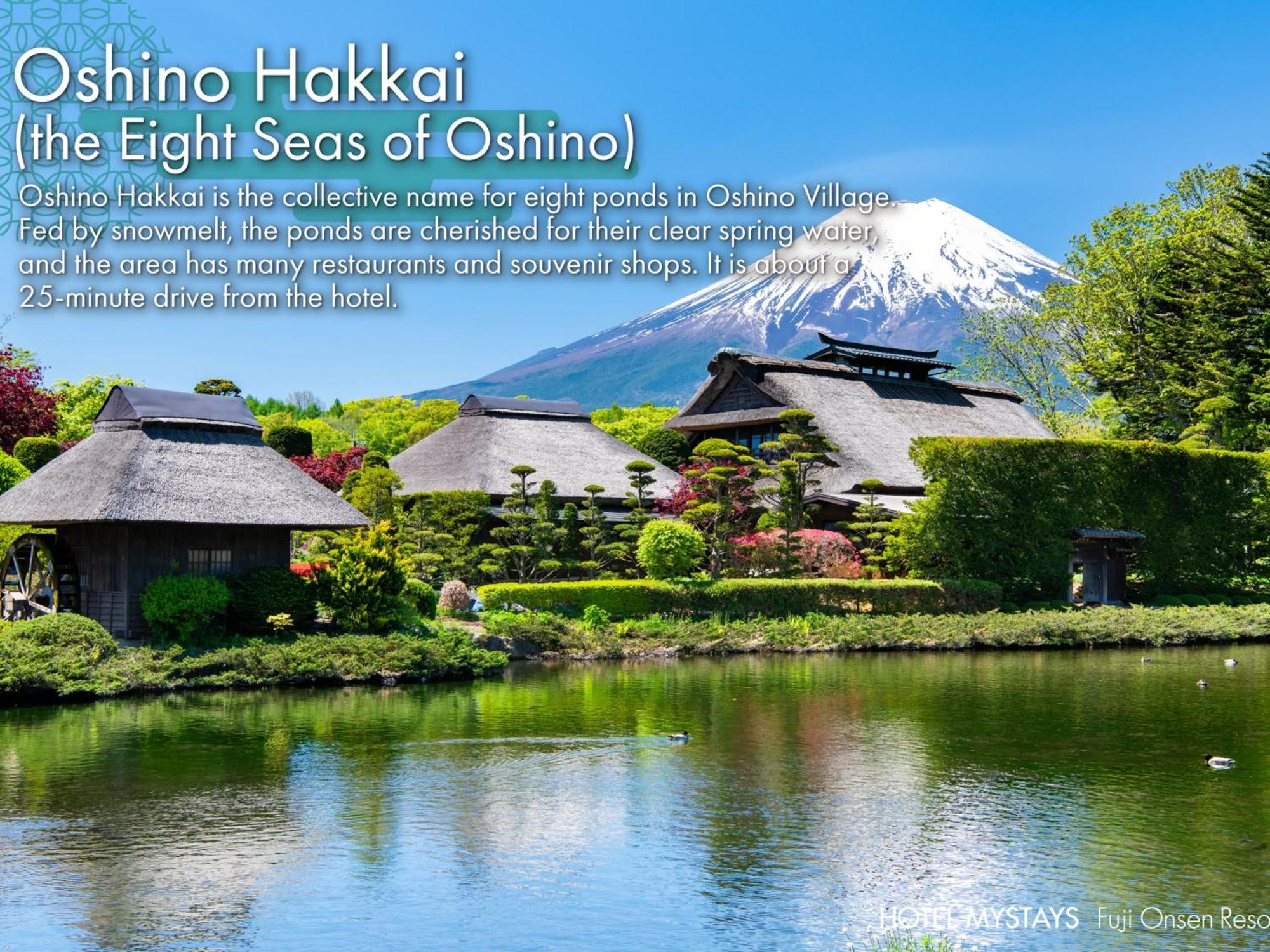 Hotel Mystays Fuji Onsen Fujiyoshida